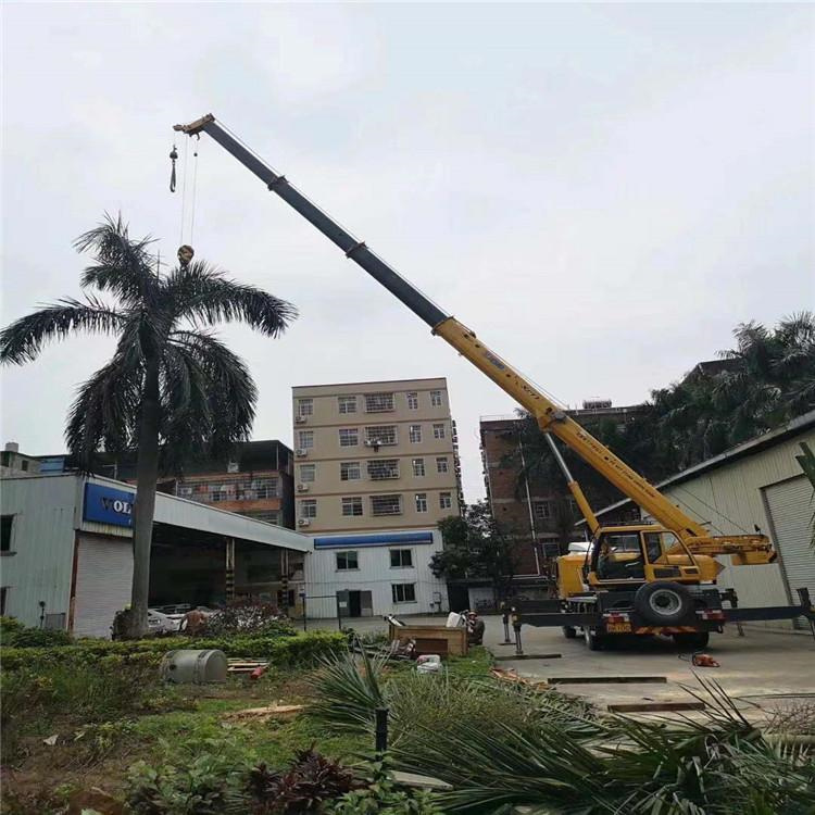 庆云汽车吊出租多少钱？全面解析与市场行情